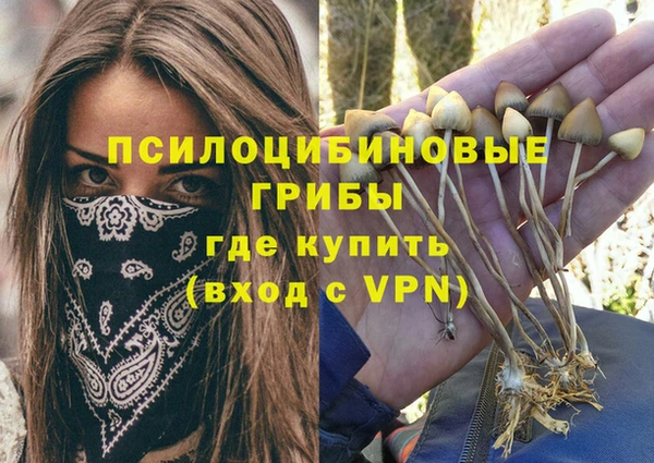 меф Арсеньев
