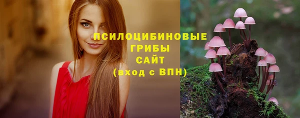 меф Арсеньев