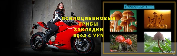 меф Арсеньев