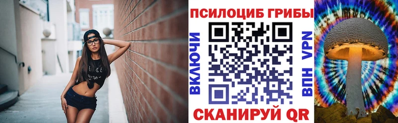 площадка какой сайт  Мензелинск  Псилоцибиновые грибы Psilocybe 
